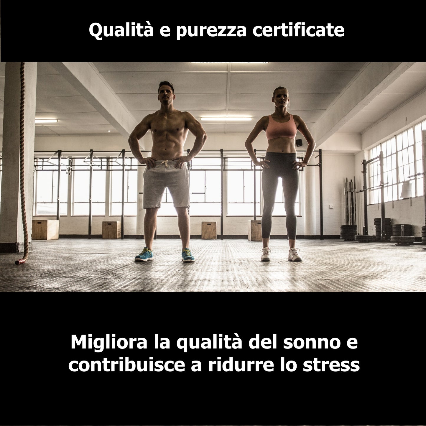 ZMB6 - Zinco + Magnesio + Vitamina B6