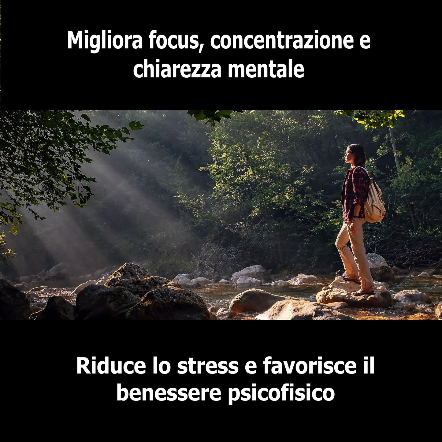 Ashwagandha + Ginseng + Ginko Biloba