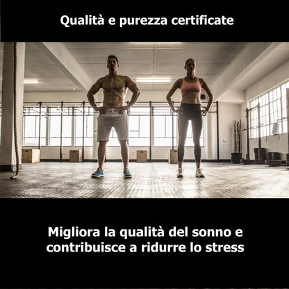 ZMB6 - Zinco + Magnesio + Vitamina B6