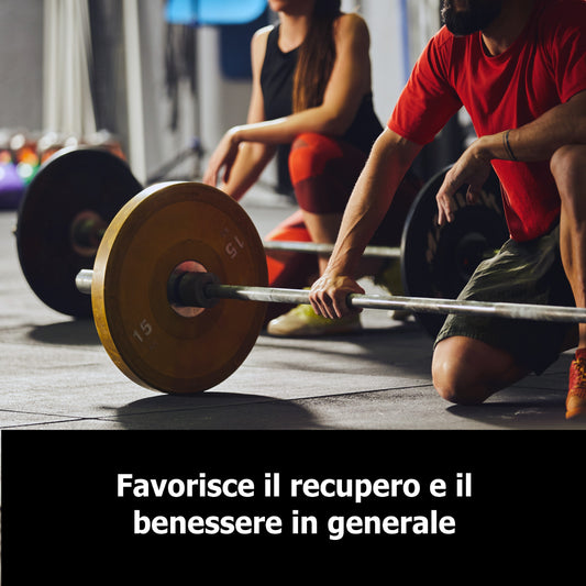 ZMB6 - Zinc + Magnesium + B6