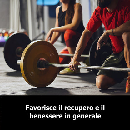 ZMB6 - Zinco + Magnesio + Vitamina B6