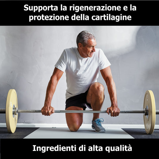 Joint Complex - Glucosamine + Chondroitin + MSM